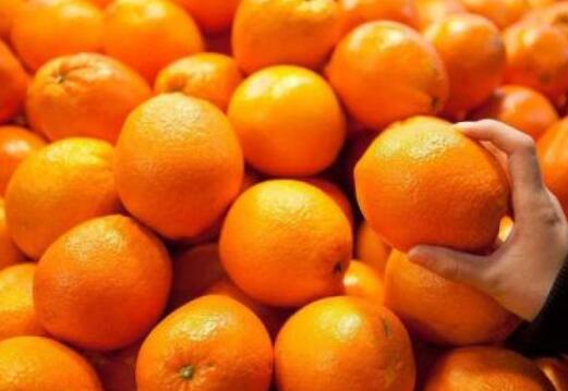 但从这两种水果名字的写法上看,他们并不是同一种水果那么桔子和橘子